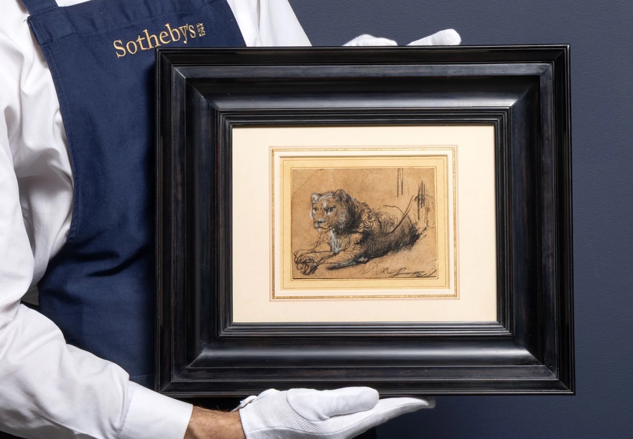 Рембрандт ван Рейн, “Молодий лев, що відпочиває” (бл. 1638-42), розмір 11,5х15см. Фото: theleidencollection.com