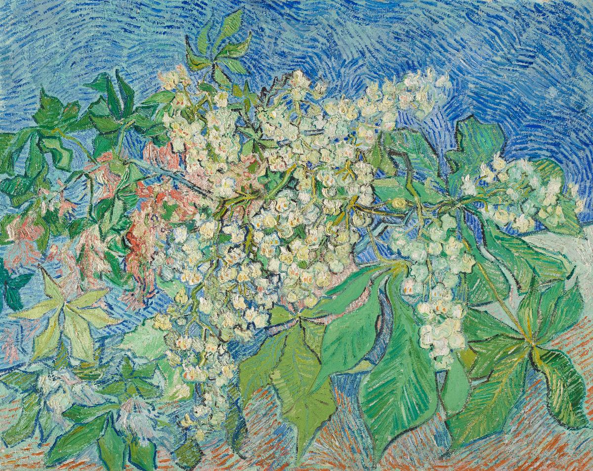 Вінсент ван Гог, Каштанове дерево в рожево-білому цвіті (Châtaignier en fleurs roses et blanches), 1890. Картина з колекції родини Блакієрів